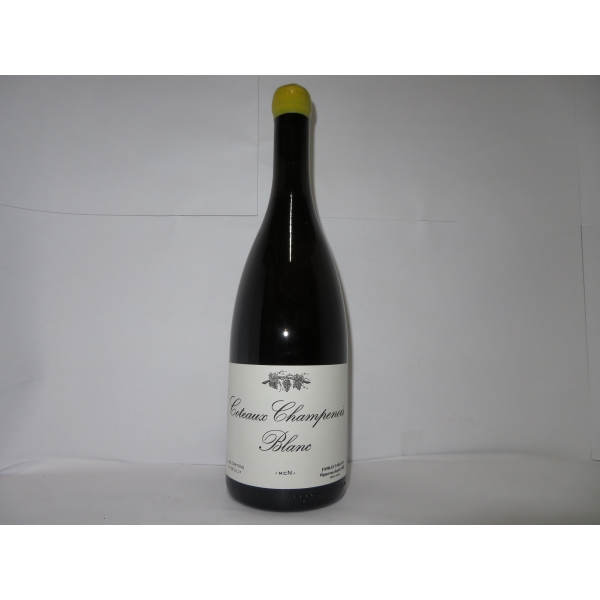 Domaine  Tarlant Coteau Champenois Blanc N 2019