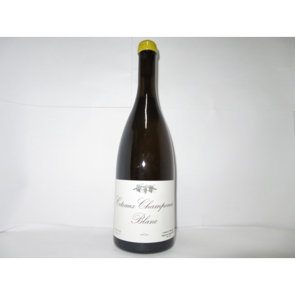 Domaine  Tarlant Coteau Champenois Blanc C 2019