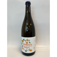 Brasserie Ammonite Abricot Cuvee Vendange 2023