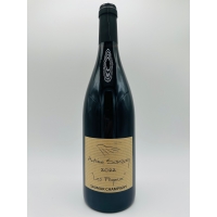 Domaine Antoine Sanzay Les Poyeux 2022