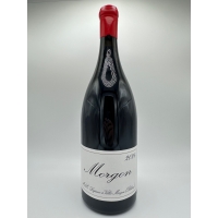 Domaine  Mathieu & Camille Lapierre Morgon 2024