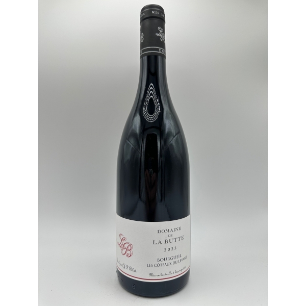 Domaine de la Butte Bourgueil Les Coteaux Du Levant 2023