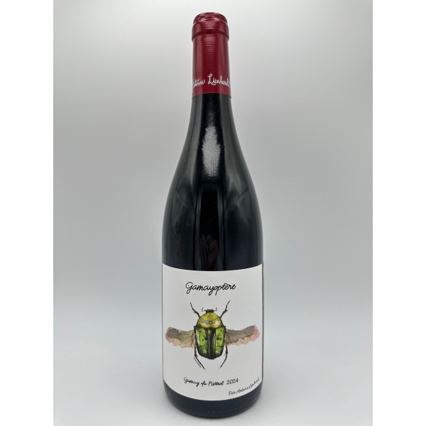 Domaine  Antoine Lienhardt Gamayoptere Coteaux Bourguignons 2024
