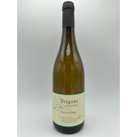 Domaine le Soula Trigone Blanc 2025