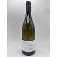 Domaine  Aurelien Chatagnier Condrieu 2024