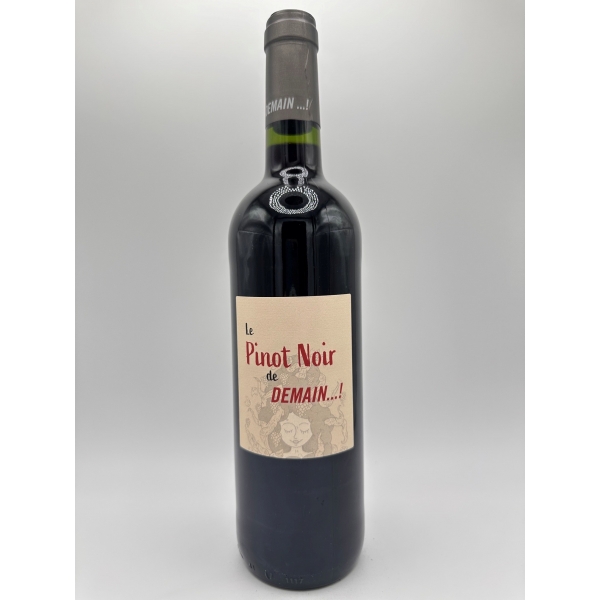 Domaine de Gournier Demain...! Pinot Noir 2024