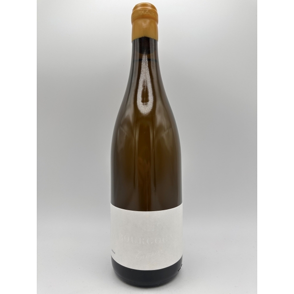 Domaine  Trapet Bourgogne Blanc 2024