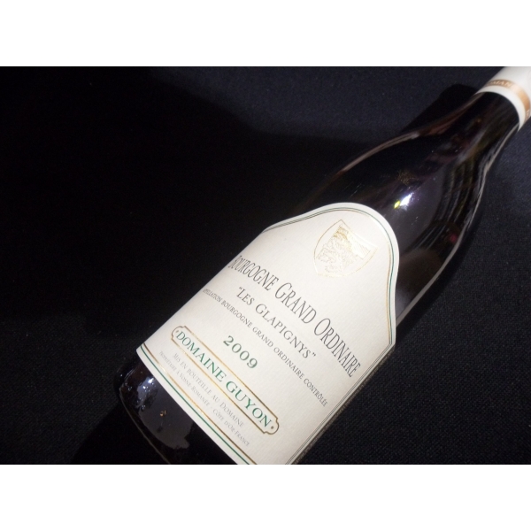 Domaine  Guyon Bourgogne Glapignys Blanc 2008