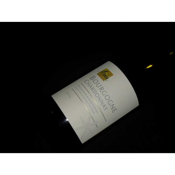 Domaine  Merlin Bourgogne Blanc 2014