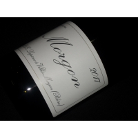 Domaine  Mathieu & Camille Lapierre Morgon 2017