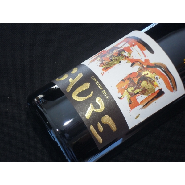 Château de Gaure  Oppidum 2016