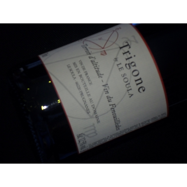 Domaine le Soula Trigone Rouge 2016