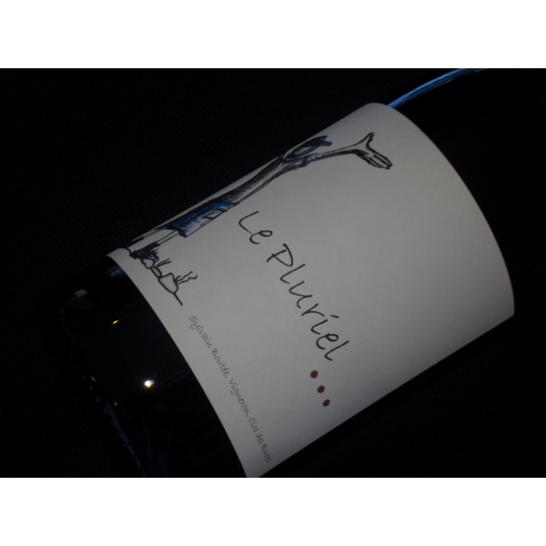 Clos des Boutes Le Pluriel 2016
