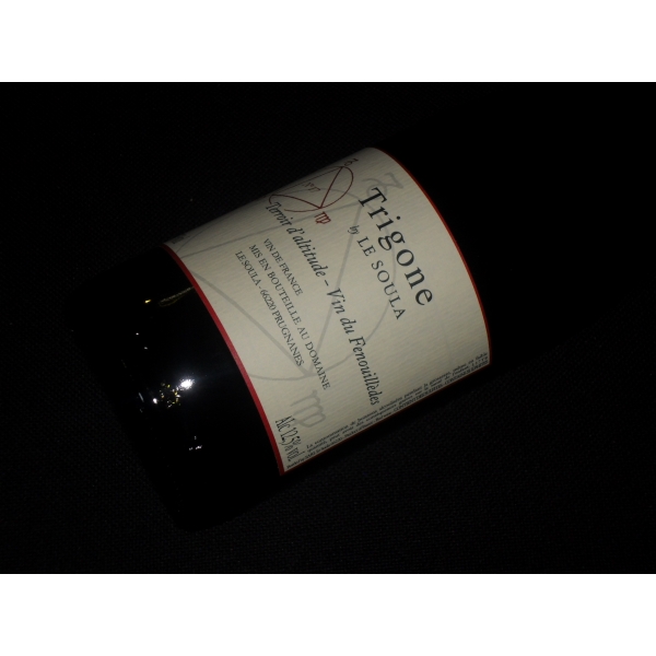 Domaine le Soula Trigone Rouge 2017