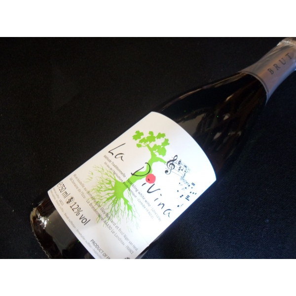 Domaine de L'ecu La Divina