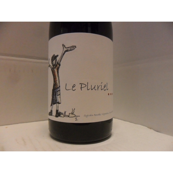 Clos des Boutes Le Pluriel 2019